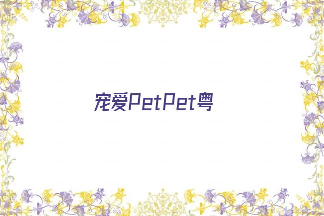 宠爱PetPet粤剧照