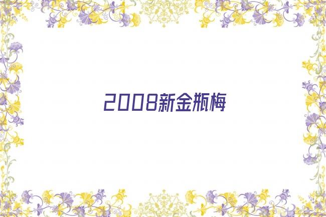 2008新金瓶梅剧照