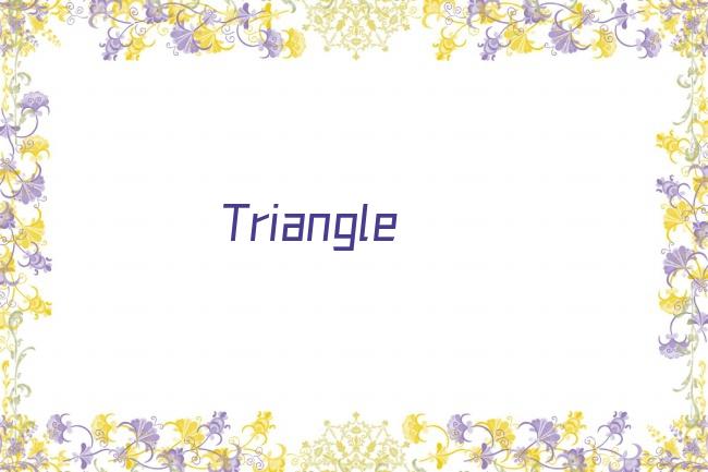 Triangle剧照