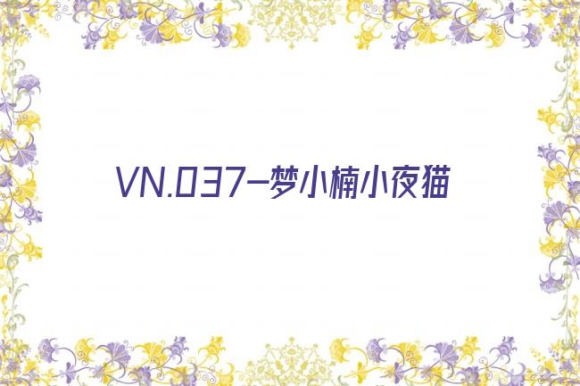 VN.037-梦小楠小夜猫剧照