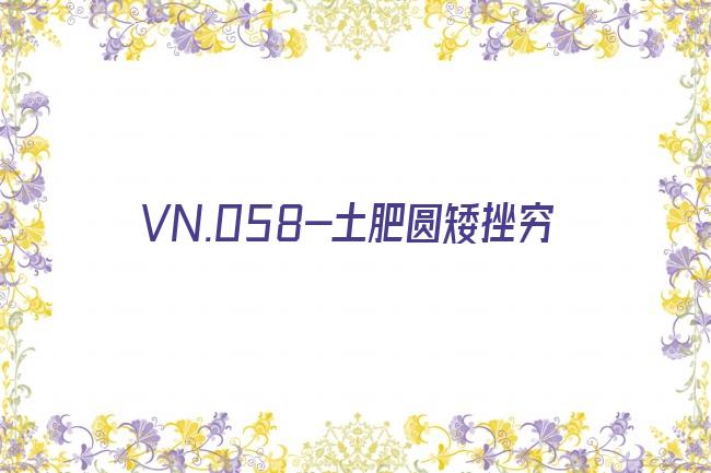 VN.058-土肥圆矮挫穷剧照