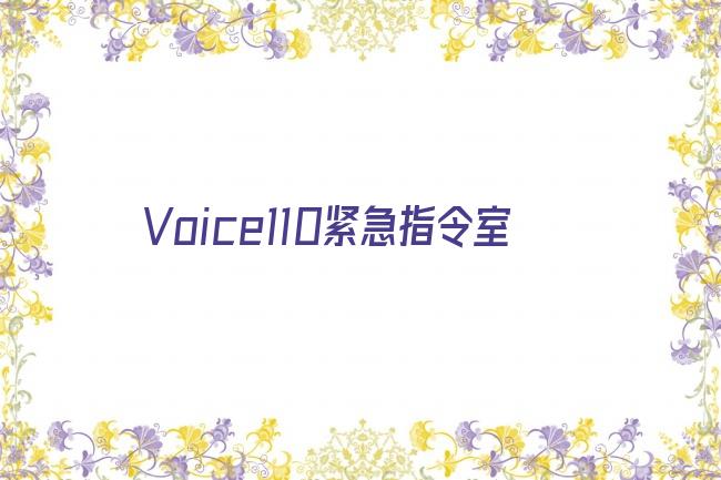 Voice110紧急指令室剧照