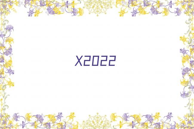 X2022剧照