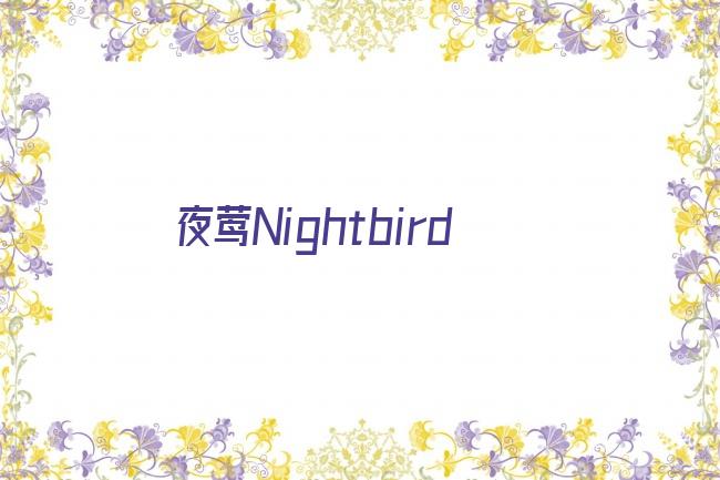 夜莺Nightbird剧照