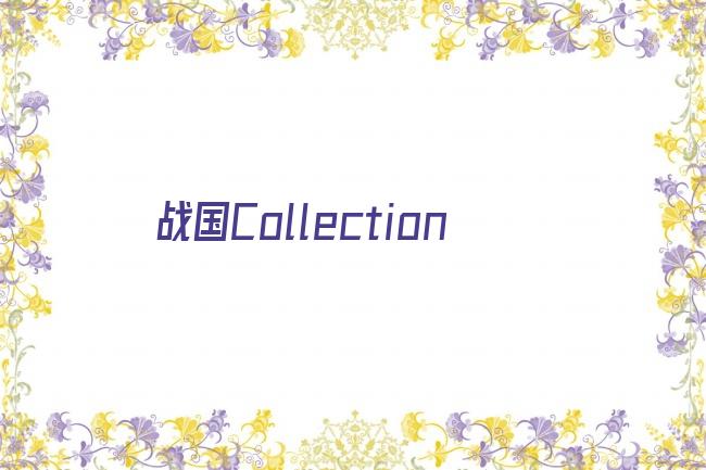 战国Collection剧照