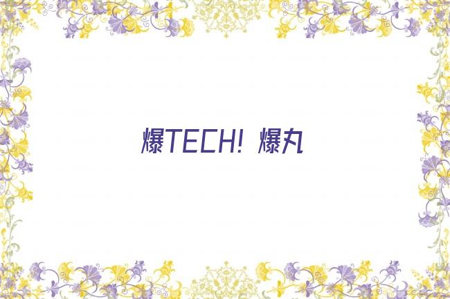 爆TECH！爆丸剧照